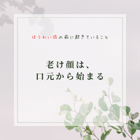 画像471