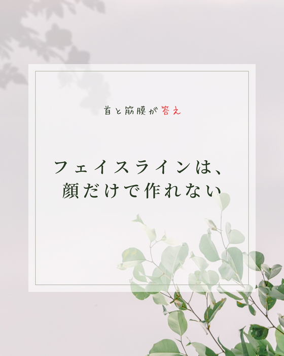 画像478